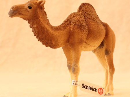 Schleich - Dromedary Sale